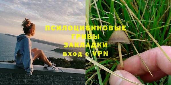 ПСИЛОЦИБИНОВЫЕ ГРИБЫ Покров