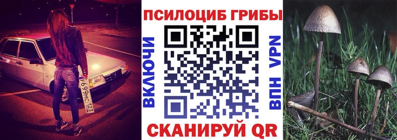 Купить  Сковородино  Псилоцибиновые грибы мухоморы 